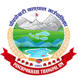 Local Government Logo